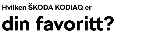 AutoriaKolbotn_SKODA_KODIAQ_Favoritt-farge.png